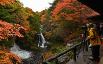 竜頭の滝で紅葉見頃