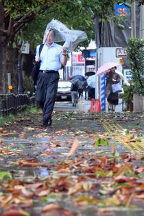 台風15号　栃木県内の被害