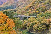 紅葉と野岩鉄道　川治温泉街・日光