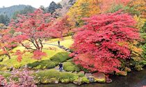 赤に黄色 染まる庭園　鹿沼・古峯園