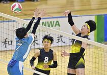 2024春高バレー栃木県代表決定戦最終予選（決勝）