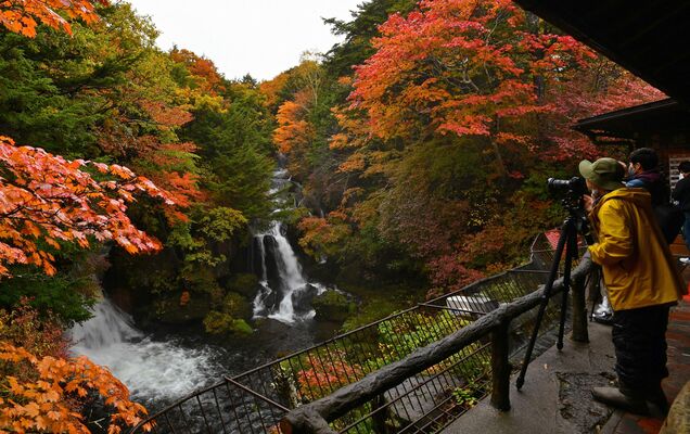 紅葉が見頃を迎え、赤や黄色に彩られた竜頭の滝＝14日午前８時５分、日光市中宮祠