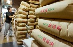 【2025年産米販売量、過去最低】コメ離れ懸念、現実に