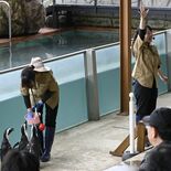 動物の生態を楽しく学ぼう！　那須どうぶつ王国で新ステージショー　学校な…