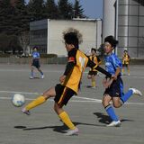 下野杯栃木県中学サッカー大会・第2日 瑞穂野中など3回戦へ《全試合結果あり》
