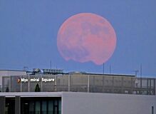 「スーパームーン」栃木県内でも