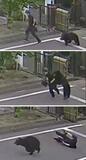 クマ大暴れ ４人負傷