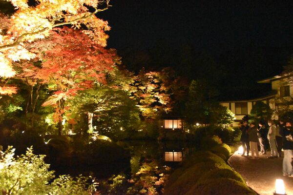 色づいた木々などが照らされた逍遥園