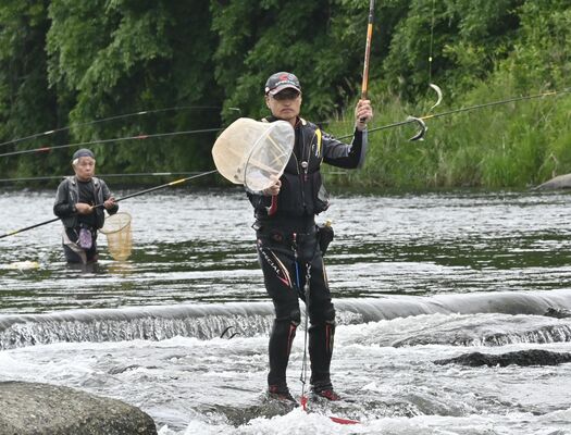 アユ釣りが解禁となり、思い思いにさおを振る釣り人たち