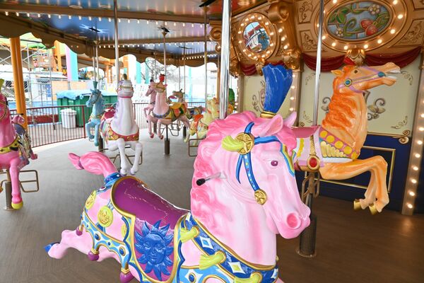 華やかな装飾に一新したとちのきファミリーランドのメリーゴーラウンド=宇都宮市西川田4丁目