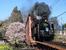 東武鉄道の「SL大樹」=栃木県日光市(同社提供)