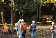 クマ発砲可の緊急銃猟、５０件超