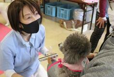 犬猫と訪問「笑顔届けたい」