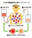 実用化から６年、実績２０００件
