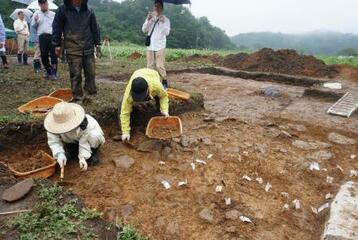 人類がいつ到達したか謎解く石器