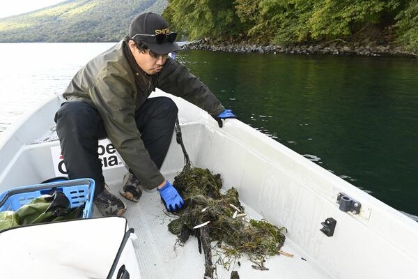 湖底清掃で引き上げられたごみ