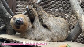 【宇都宮動物園】 園内初となる室内展示場を開設