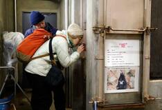 冬眠中クマ、盛岡の動物園で観察