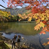 日光・湯ノ湖畔、紅葉のグラデーション　今週末が一番の見頃