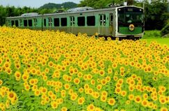 下野写真協会の和泉一雄さん写真展 ＪＲ烏山線「アキュムが走る！！」　