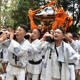 威勢よく神輿渡御が復活　大田原神社で４年ぶり例大祭　４時間にわたり町内安全祈願