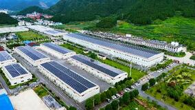 中国、世界の一大抹茶供給源に