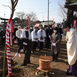 「あまりに由緒ある木」真岡・長沼八幡宮の新たなご神木に　京都の籠神社から持ち帰った実が育ち…