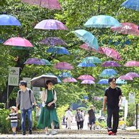 空に舞うカラフル傘　那須塩原・千本松牧…