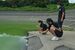 緑色に染まった会場の水面を見て驚き、写真に残す沖縄県の選手と監督＝９月10日午前、市貝町塩田