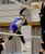 女子　薄葉ドリーム－サンダース決勝　第１セット、サンダース・近藤がスパイク
