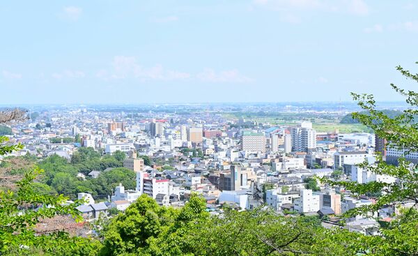 足利織姫神社から見た足利市内