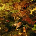 雨中の闇に幽玄の世界 紅葉の名所、日光・逍遥園でライトアップ