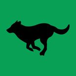 大田原で野犬の群れ目撃