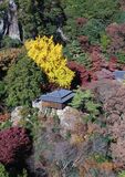 行道山浄因寺で紅葉見頃