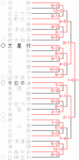 16春　トーナメント表