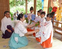 みこ姿の稚児がアジサイ献花　益子