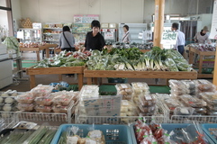 塩谷地区農産物直売所（ＪＡしおのや）　しおやの恵み　直に消費者へ
