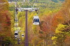 錦秋に染まる斜面