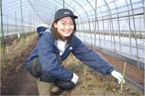 柳 未来さん 27歳  /　アスパラガス生産者 　JAはが野