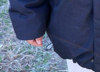 【独自】飼い犬撲殺も、匿流関与か