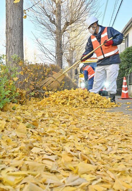 敷き積もった落ち葉を清掃する作業員＝12日午後１時40分、宇都宮市鶴田町