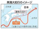 【独自】高知カツオ水揚げ、２５年４割減