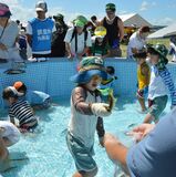 那珂川・アユつかみ取りに2000人　水しぶき上げ魚影追う