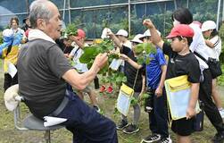 イチゴ栽培の工夫学ぶ