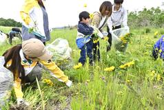 遊水園職員ら 那珂川を清掃