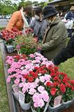 花と緑 楽しく品定め