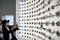 万博展示の人工サンゴ、海へ移植