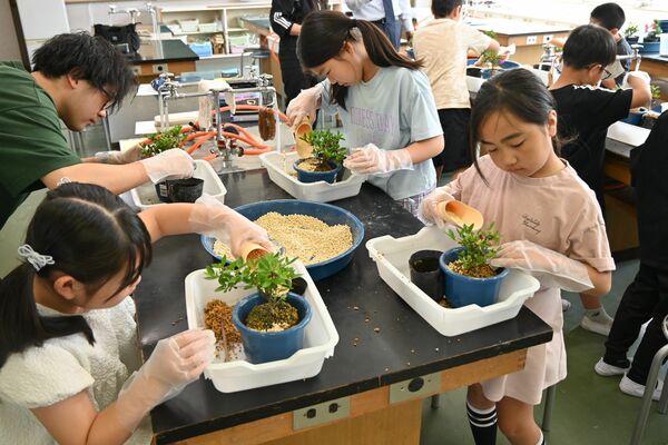 サツキの鉢植えに挑戦する子どもたち
