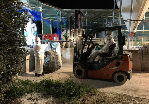 豚熱が発生した農場で防護服を着て防疫作業に当たった県職員＝昨年７月２４日、那須烏山市（県提供）