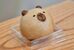 ミチルの展示を記念して販売される「カピバラまんじゅう」
